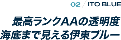 ITO BLUE  最高ランクAAの透明度 海底まで見える伊東ブルー